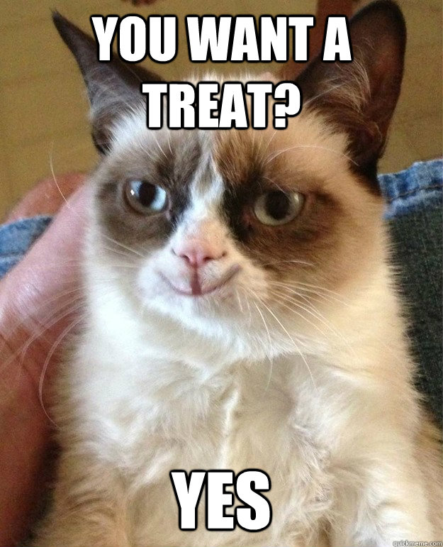 You want a treat? YES - You want a treat? YES  Misc