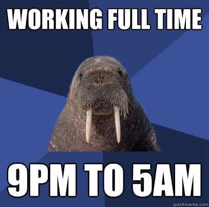 working full time 9pm to 5am - working full time 9pm to 5am  Web Developer Walrus