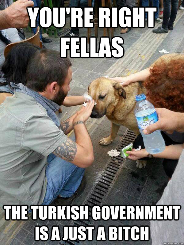 YOU'RE RIGHT FELLAS THE TURKISH GOVERNMENT IS A JUST A BITCH - YOU'RE RIGHT FELLAS THE TURKISH GOVERNMENT IS A JUST A BITCH  ACTUALLY SAD DOG