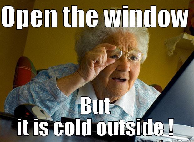OPEN THE WINDOW  BUT IT IS COLD OUTSIDE ! Grandma finds the Internet