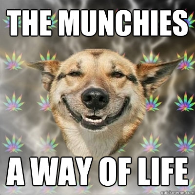 the munchies a way of life  Stoner Dog