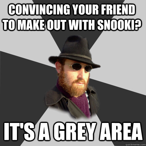 Convincing your friend to make out with Snooki? It's a grey area  Its a Grey Area