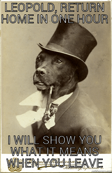 LEOPOLD, RETURN HOME IN ONE HOUR, I WILL SHOW YOU WHAT IT MEANS WHEN YOU LEAVE - LEOPOLD, RETURN HOME IN ONE HOUR I WILL SHOW YOU WHAT IT MEANS WHEN YOU LEAVE Old Money Dog