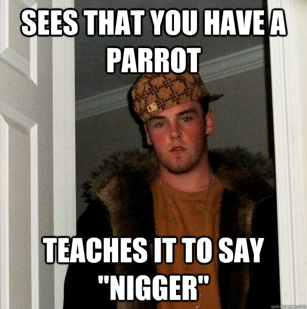 Sees that you have a parrot  Teaches it to say 