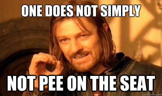 One Does Not Simply Not pee on the seat  Boromir