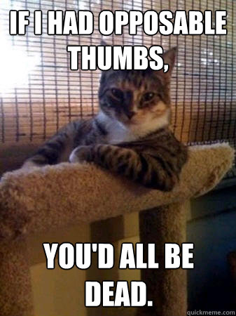 If I had opposable thumbs, you'd all be dead.  The Most Interesting Cat in the World
