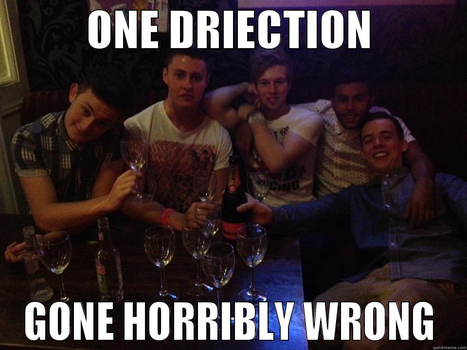 ONE DRIECTION GONE HORRIBLY WRONG Misc