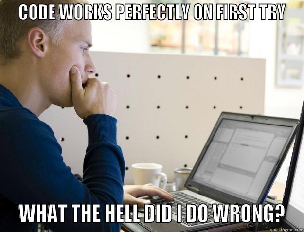  CODE WORKS PERFECTLY ON FIRST TRY  WHAT THE HELL DID I DO WRONG? Programmer