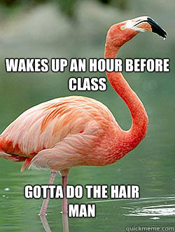 Wakes up an hour before class Gotta do the hair man  Potentially gay flamingo