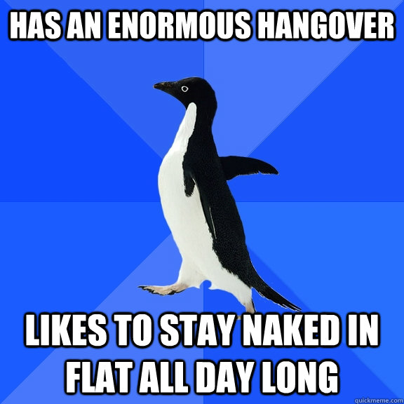 Has an enormous hangover likes to stay naked in flat all day long  Socially Awkward Penguin