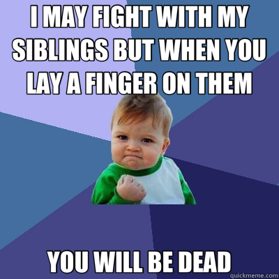 I MAY FIGHT WITH MY SIBLINGS BUT WHEN YOU LAY A FINGER ON THEM YOU WILL BE DEAD  Success Kid