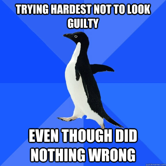 Trying hardest not to look guilty even though did nothing wrong  Socially Awkward Penguin