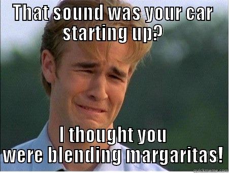 i want margarita - THAT SOUND WAS YOUR CAR STARTING UP? I THOUGHT YOU WERE BLENDING MARGARITAS! 1990s Problems