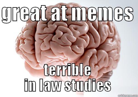 GREAT AT MEMES  TERRIBLE IN LAW STUDIES Scumbag Brain