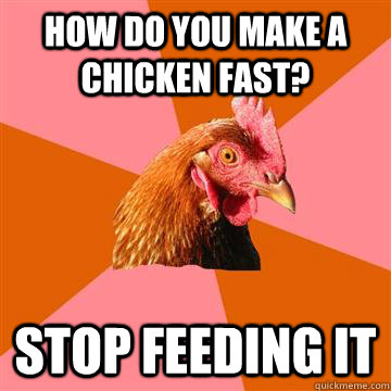 How do you make a Chicken fast? Stop Feeding it - How do you make a Chicken fast? Stop Feeding it  Anti-Joke Chicken