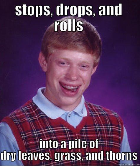 STOPS, DROPS, AND ROLLS INTO A PILE OF DRY LEAVES, GRASS, AND THORNS Bad Luck Brian