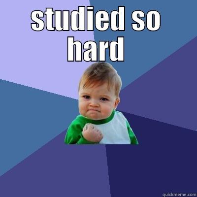 STUDIED SO HARD  Success Kid