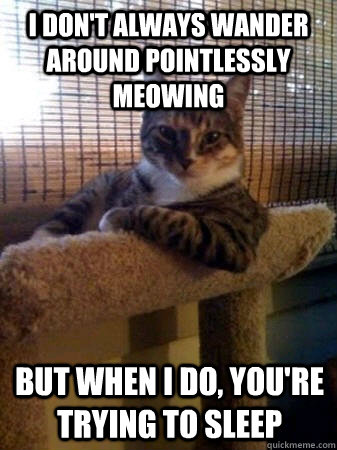 I don't always wander around pointlessly meowing but when I do, you're trying to sleep  The Most Interesting Cat in the World