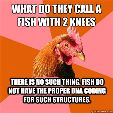 What do they call a fish with 2 knees there is no such thing. Fish do not have the proper DNA coding for such structures.  Anti-Joke Chicken