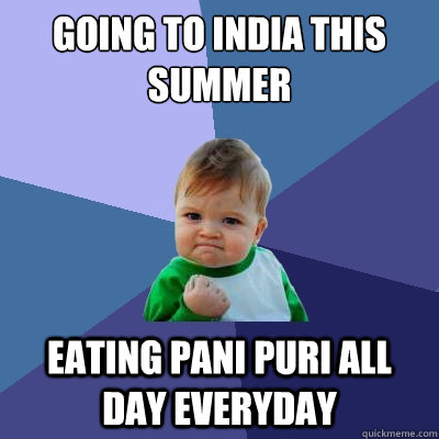 GOING TO INDIA THIS SUMMER EATING PANI PURI ALL DAY EVERYDAY  Success Kid