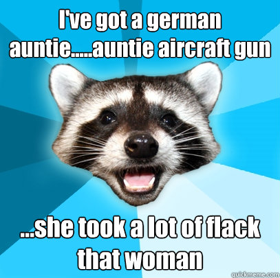 I've got a german auntie.....auntie aircraft gun ...she took a lot of flack that woman  Lame Pun Coon
