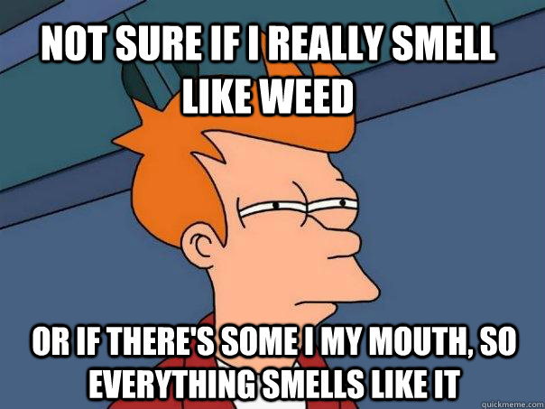 Not sure if I really smell like weed or if there's some i my mouth, so everything smells like it  Futurama Fry