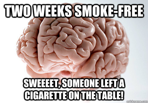 two weeks smoke-free sweeeet, someone left a cigarette on the table! - two weeks smoke-free sweeeet, someone left a cigarette on the table!  Scumbag Brain