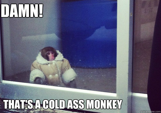 DAMN! That's a cold ass monkey  Ikea Monkey