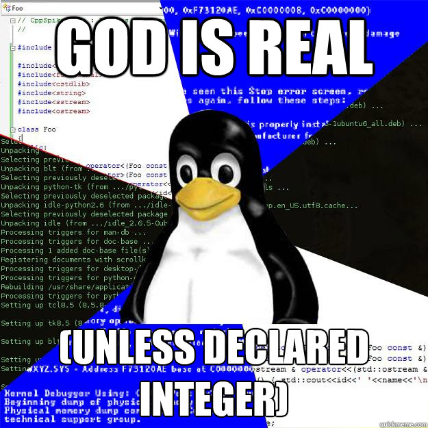 God is real (unless declared integer)  Computer Science Penguin