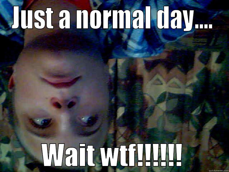 JUST A NORMAL DAY.... WAIT WTF!!!!!! Misc