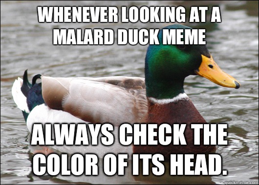 Whenever looking at a Malard duck meme Always check the color of its head.  Actual Advice Mallard