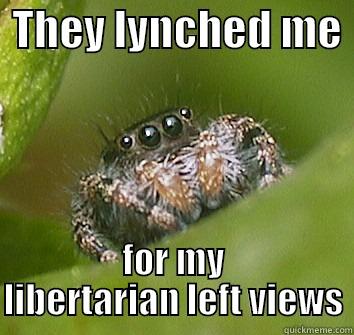  THEY LYNCHED ME  FOR MY LIBERTARIAN LEFT VIEWS Misunderstood Spider