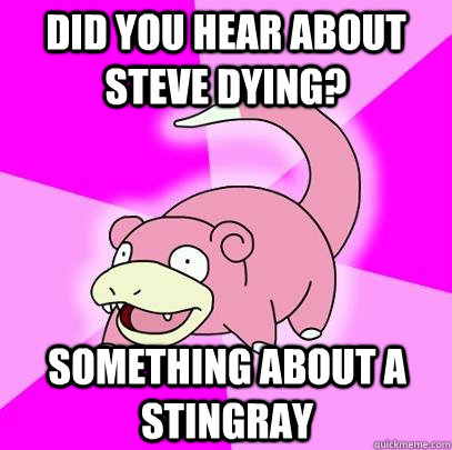 did you hear about steve dying? Something about a stingray  Slowpoke