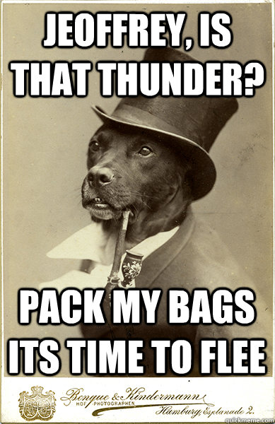 Jeoffrey, is that thunder? pack my bags its time to flee - Jeoffrey, is that thunder? pack my bags its time to flee  Old Money Dog