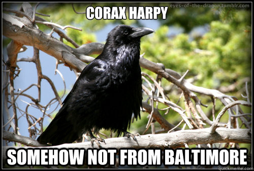 Corax Harpy Somehow not from Baltimore  Corax Harpy