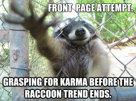 Front  page attempt. Grasping for Karma before the raccoon trend ends. - Front  page attempt. Grasping for Karma before the raccoon trend ends.  Angry Raccoon