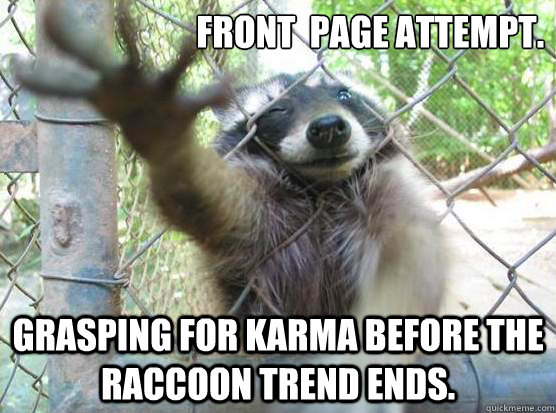 Front  page attempt. Grasping for Karma before the raccoon trend ends.  Angry Raccoon