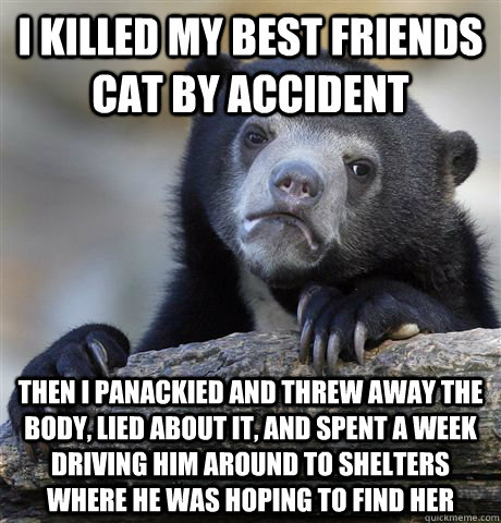 I killed my best friends cat by accident Then I panackied and threw away the body, lied about it, and spent a week driving him around to shelters where he was hoping to find her  Confession Bear