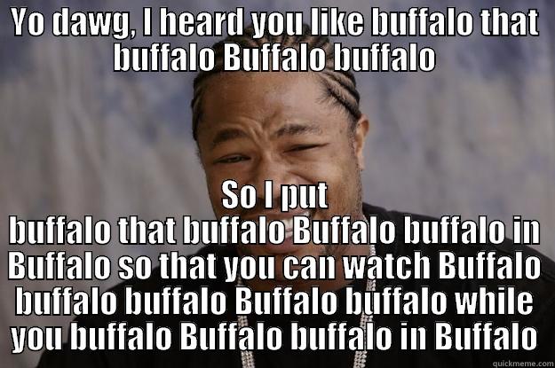 buffalo buffalo - YO DAWG, I HEARD YOU LIKE BUFFALO THAT BUFFALO BUFFALO BUFFALO SO I PUT BUFFALO THAT BUFFALO BUFFALO BUFFALO IN BUFFALO SO THAT YOU CAN WATCH BUFFALO BUFFALO BUFFALO BUFFALO BUFFALO WHILE YOU BUFFALO BUFFALO BUFFALO IN BUFFALO Xzibit meme