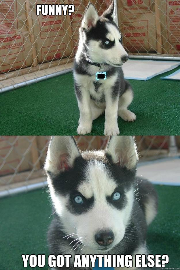 Funny? You got anything else?  Insanity puppy