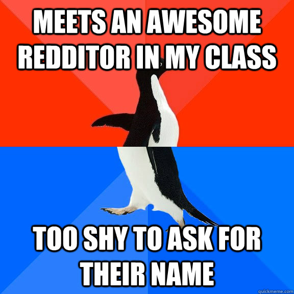 Meets an awesome redditor in my class Too shy to ask for their name  Socially Awesome Awkward Penguin
