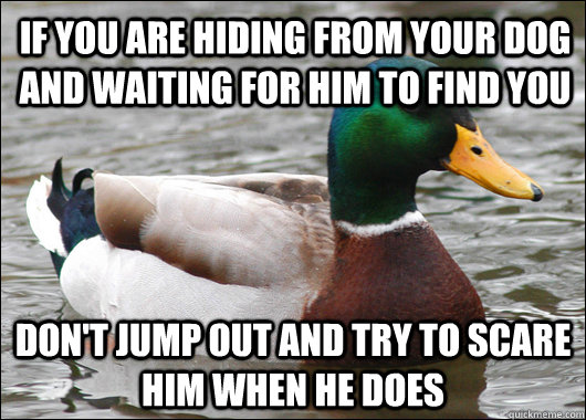 If you are hiding from your dog and waiting for him to find you Don't jump out and try to scare him when he does  Actual Advice Mallard