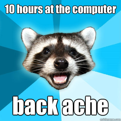 10 hours at the computer back ache  Lame Pun Coon