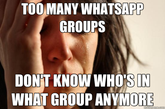 TOO MANY WHATSAPP GROUPS DON'T KNOW WHO'S IN WHAT GROUP ANYMORE  First World Problems