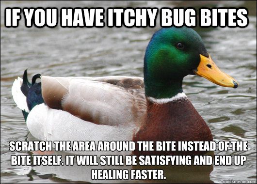 if you have itchy bug bites scratch the area around the bite instead of the bite itself. it will still be satisfying and end up healing faster.  Actual Advice Mallard