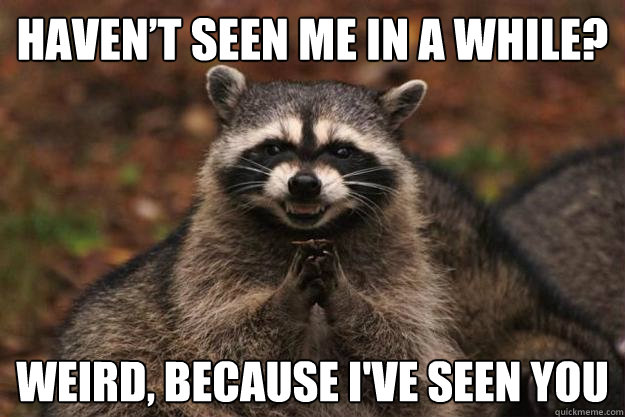 Haven’t seen me in a while? Weird, because i've seen you  Evil Plotting Raccoon