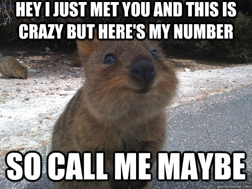 Hey I just met you and this is crazy but here's my number so call me maybe  