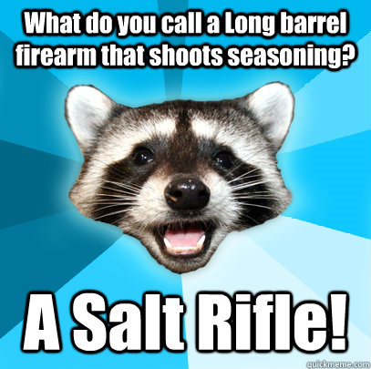 What do you call a Long barrel firearm that shoots seasoning? A Salt Rifle!   Lame Pun Coon