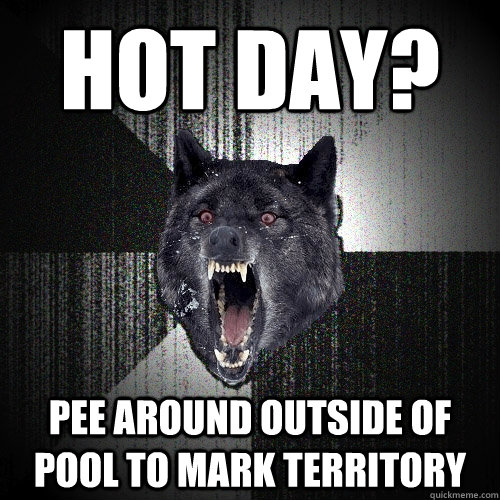 Hot Day? Pee around outside of pool to mark territory  Insanity Wolf