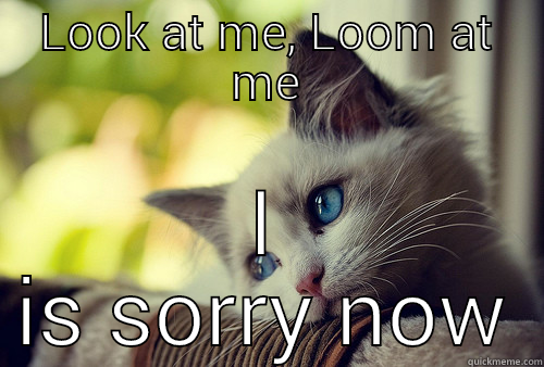 LOOK AT ME, LOOM AT ME I IS SORRY NOW First World Problems Cat